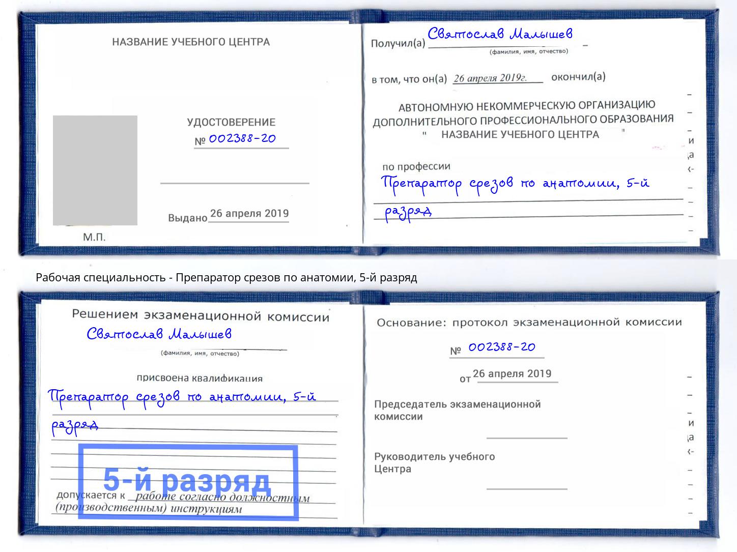 корочка 5-й разряд Препаратор срезов по анатомии Камень-на-Оби