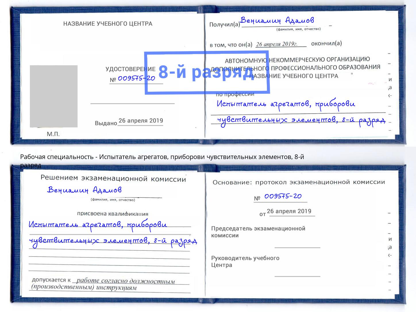 корочка 8-й разряд Испытатель агрегатов, приборови чувствительных элементов Камень-на-Оби